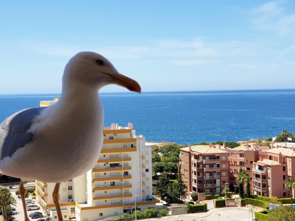 1501 - Clube Praia Mar Apartman Portimão Kültér fotó